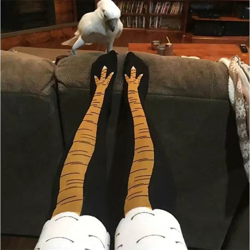 Damen-Hühnerpfoten-Socken, Ani – Funny Chicken Leg Socks Bewertung und Preis